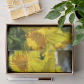 Gelbe affodische Blume Seidenpapier (Geschenk)