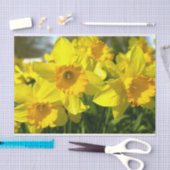 Gelbe affodische Blume Seidenpapier (Handwerk)