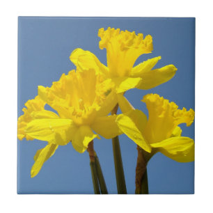 Gelbe affodische Blume Tile Art Daffodien Fliese