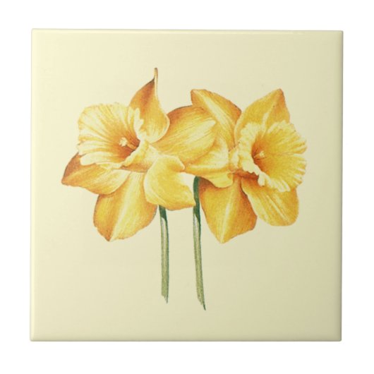 Gelbe affodische Keramik Tile Fliese (Vorderseite)
