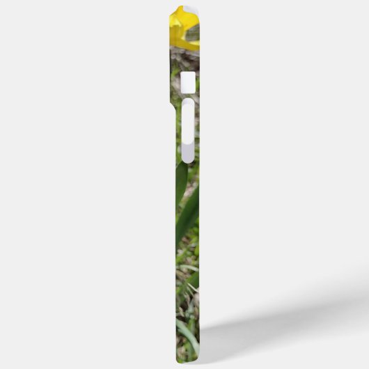 Gelbe affodische Pflanze Case-Mate iPhone Hülle (Rückseite / Links)