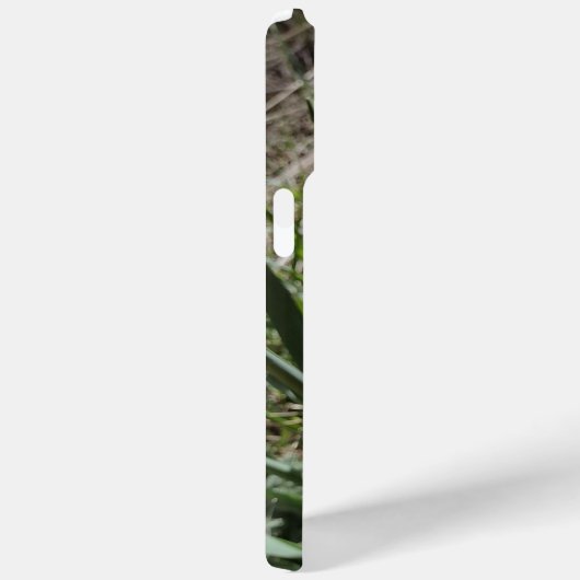 Gelbe affodische Pflanze Case-Mate iPhone Hülle (Rückseite / Rechts)