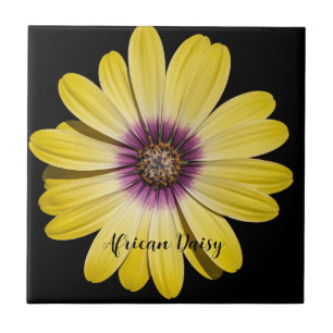 Gelbe afrikanische Margerite auf schwarzem Blumenm Fliese