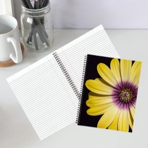 Gelbe Afrikanische Margerite auf schwarzem Blumenm Notizblock