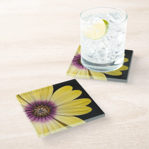 Gelbe afrikanische Marguerite auf schwarzem Floral Glasuntersetzer