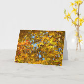 Gelbe Ahorn-Blätter und Blauer Himmel Karte (Gelbe Blume)