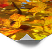 Gelbe Ahorn-Blätter und Blauer Himmel Poster (Ecke)