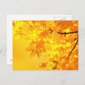 Gelbe Ahornkarte Postkarte (Vorne/Hinten)