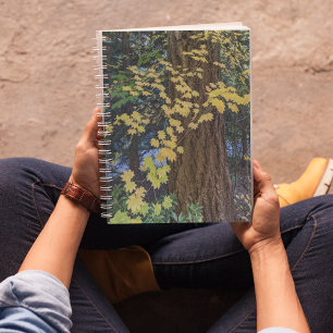 Gelbe Ahornkerne Blätter und Douglas Fir Notizblock