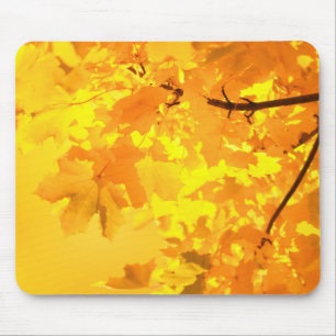 Gelbe Ahornmäuse Pad Mousepad