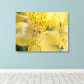 Gelbe Alstroemeria Stretched Canvas Print Leinwanddruck (Insitu (Holzboden))