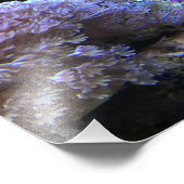 Gelbe Angele Fotodruck (Ecke)