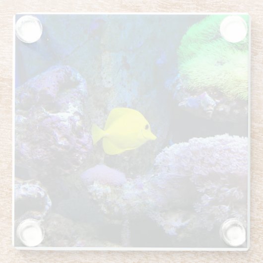 Gelbe Angele Glasuntersetzer (Rückseite)