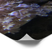 Gelbe Angele Poster (Ecke)