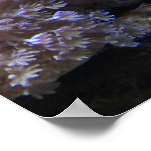 Gelbe Angele Poster (Ecke)