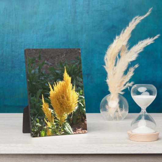 Gelbe Astilbe-Blume Fotoplatte (Seite)