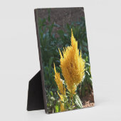 Gelbe Astilbe-Blume Fotoplatte (Seite)