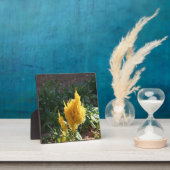 Gelbe Astilbe-Blume Fotoplatte (InSitu)