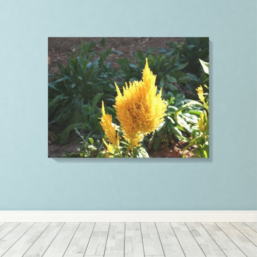 Gelbe Astilbe-Blume Leinwanddruck (Insitu (Holzboden))