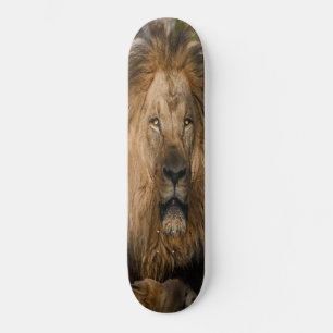 GELBE AUGEN Löwe Skateboard