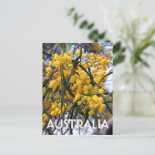 Gelbe australische Wildblüten 2 Postkarte (Stehend Vorderseite)
