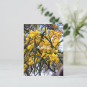 Gelbe australische Wildblüten Postkarte (Stehend Vorderseite)