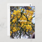 Gelbe australische Wildblüten Postkarte (Vorne/Hinten)