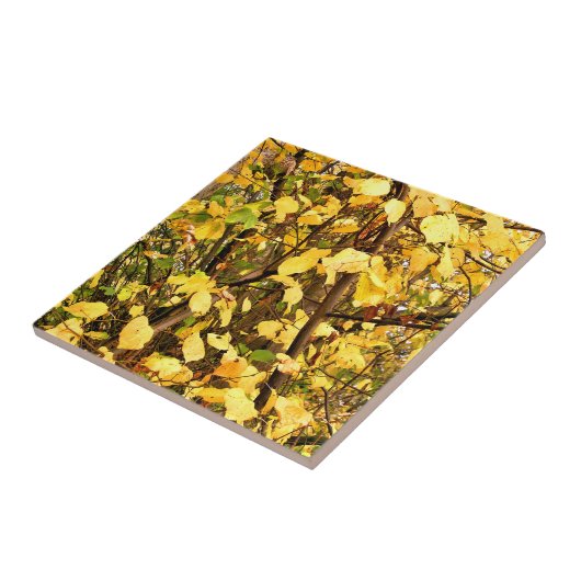 GELBE AUTUMNSTÜCKE FLIESE (Seite)