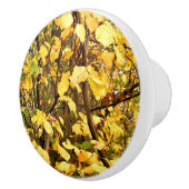 GELBE AUTUMNSTÜCKE KERAMIKKNAUF (Rechts)