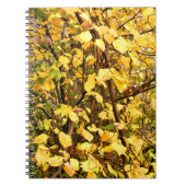 GELBE AUTUMNSTÜCKE NOTIZBLOCK (Vorderseite)