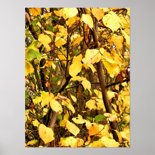 GELBE AUTUMNSTÜCKE POSTER (Vorne)