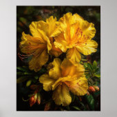 Gelbe Azalea Blume Art Print Poster (Vorne)