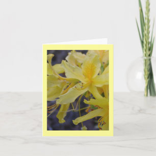 Gelbe Azalea Blume Grußkarte Karte