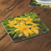 Gelbe Azalea Blüten Blumengetränke Coaster Getränkeuntersetzer