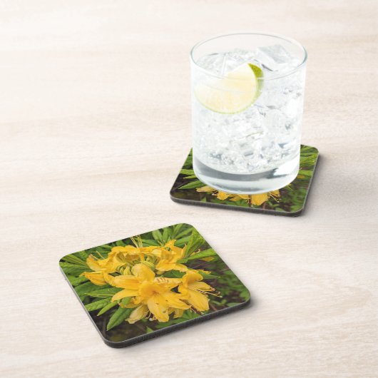 Gelbe Azalea Blüten Blumengetränke Coaster Getränkeuntersetzer (Rechte Seite)