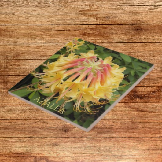 Gelbe Azalea Blütenblüte Fliese