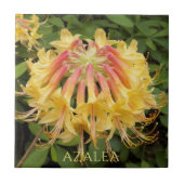 Gelbe Azalea Blütenblüte Fliese (Vorderseite)