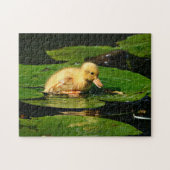 Gelbe Babyente schwimmend auf Lily Pads Puzzle (Horizontal)