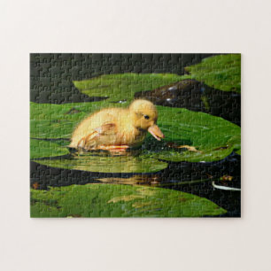 Gelbe Babyente schwimmend auf Lily Pads Puzzle