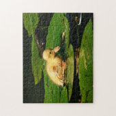 Gelbe Babyente schwimmend auf Lily Pads Puzzle (Vertikal)