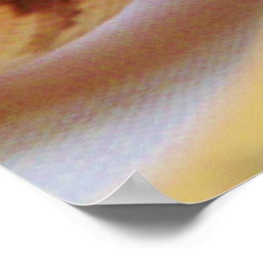 Gelbe Ball-Python Nah hoch Poster (Ecke)