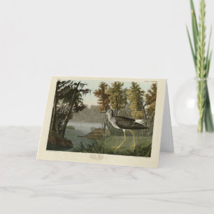 Gelbe Bank von Audubons Vögeln in Amerika Karte