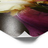 Gelbe Bartete Iris-Blume 8x10 Fotodruck (Ecke)