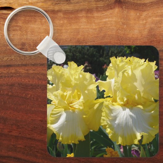 Gelbe Bartete Iris Iris Blume Blumenposter Schlüsselanhänger (Vorderseite)