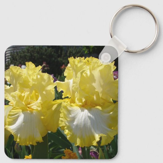 Gelbe Bartete Iris Iris Blume Blumenposter Schlüsselanhänger (Rückseite)