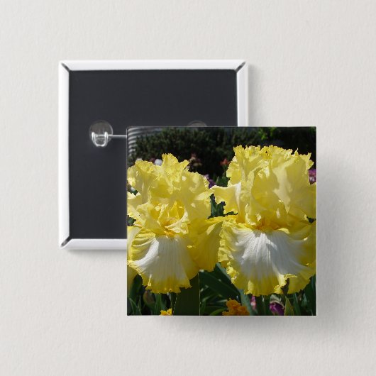 Gelbe Bartete Iris Iris Blume Button (Vorne & Hinten)