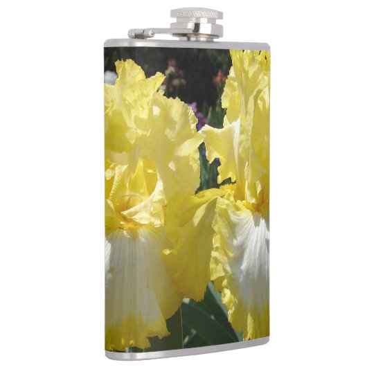 Gelbe Bartete Iris Iris Blume Flachmann (Rechts)