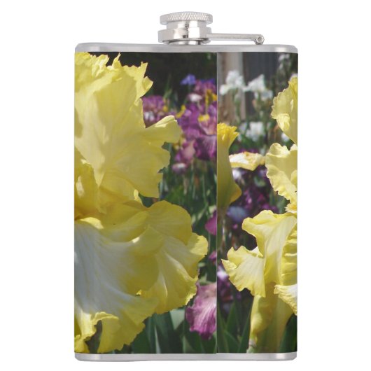 Gelbe Bartete Iris Iris Blume Flachmann (Rückseite)