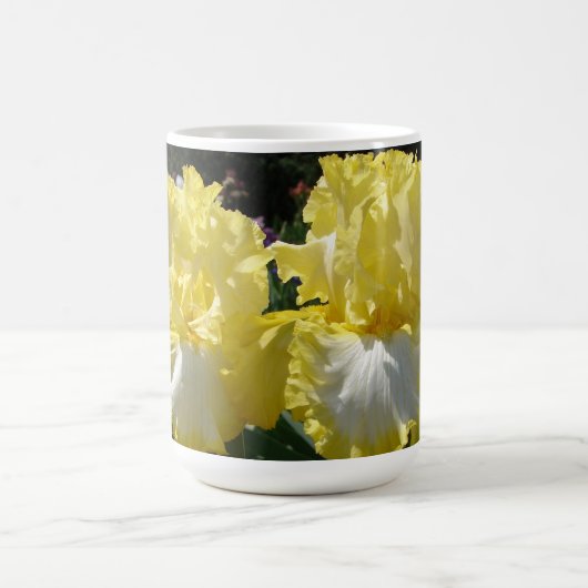 Gelbe Bartete Iris Iris Blume Kaffeetasse (Mittel)