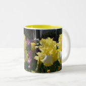 Gelbe Bartete Iris Iris Blume Zweifarbige Tasse (VorderseiteRechts)